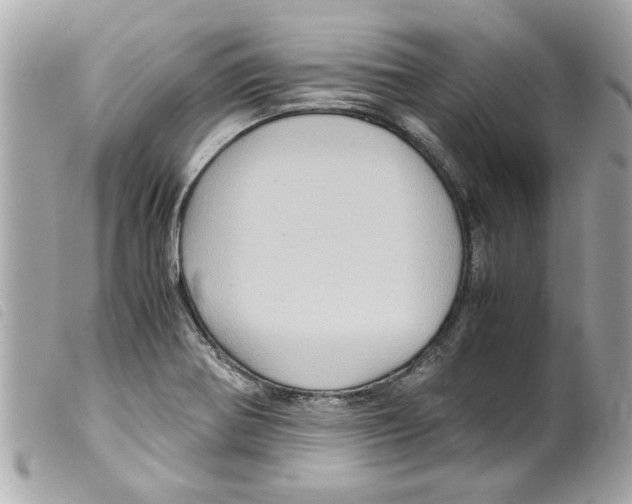 X0000099291370200805301102