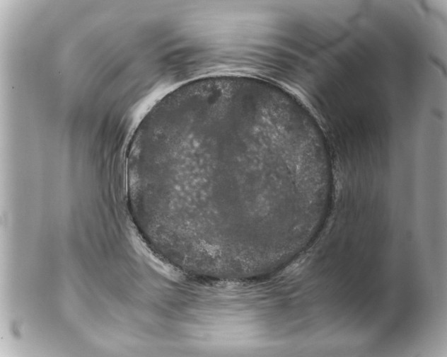 X0000099291371200805301102