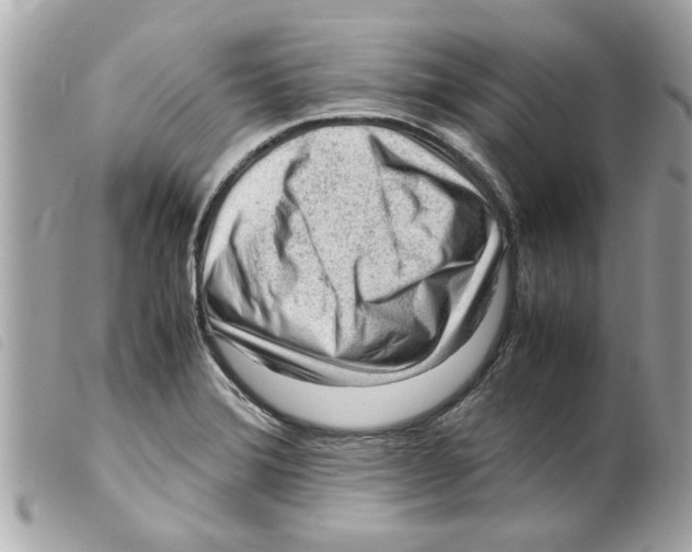 X0000099291372200805301102