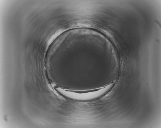 X0000099291373200805301102