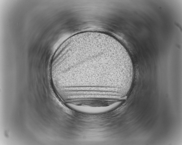 X0000099291375200805301102