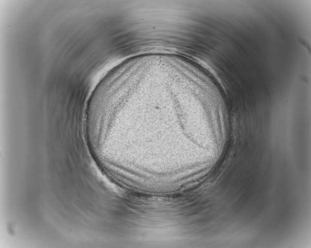 X0000099291379200805301102
