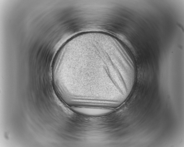 X0000099291380200805301102