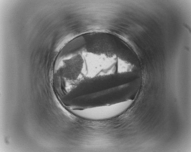 X0000099291383200805301102
