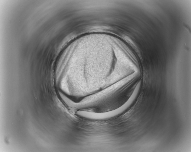 X0000099291384200805301102
