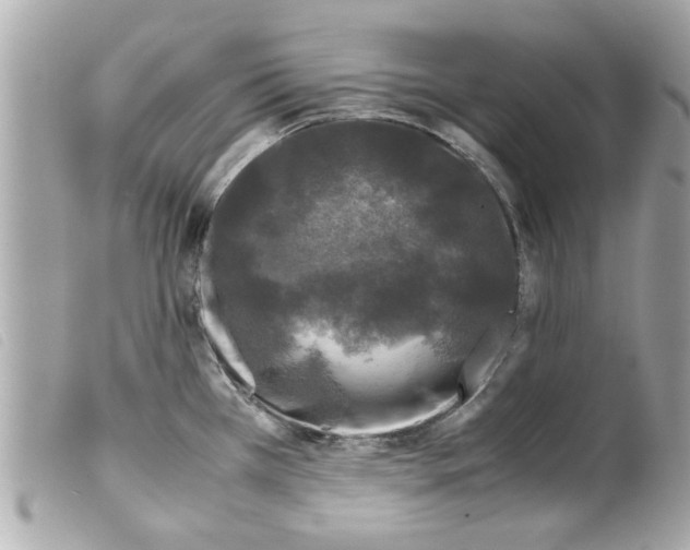 X0000099291385200805301102