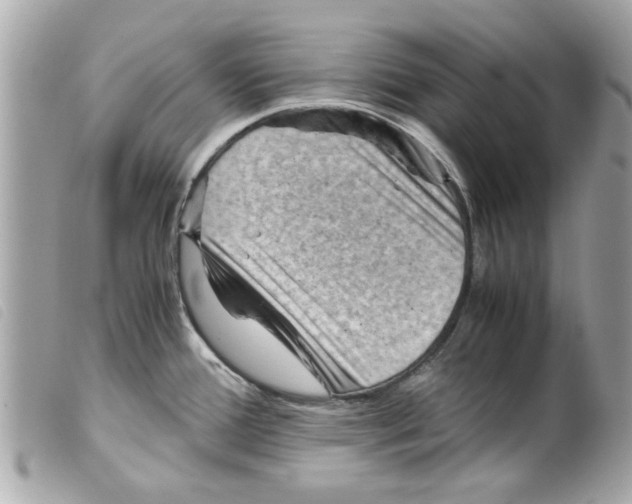 X0000099291388200805301102