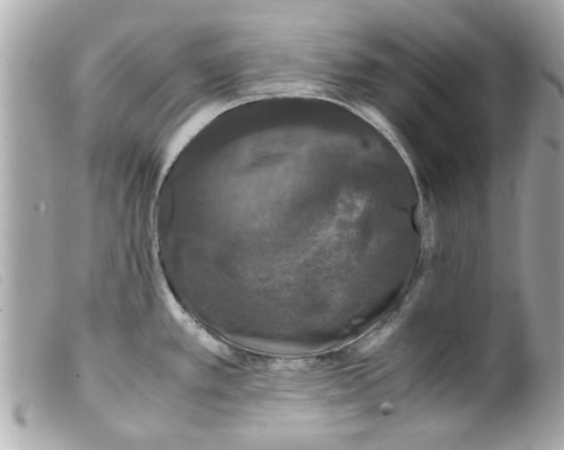 X0000099291389200805301102