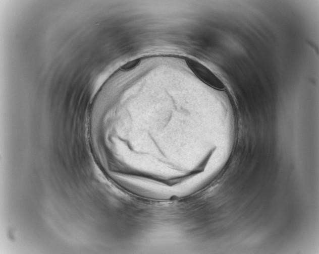 X0000099291390200805301102