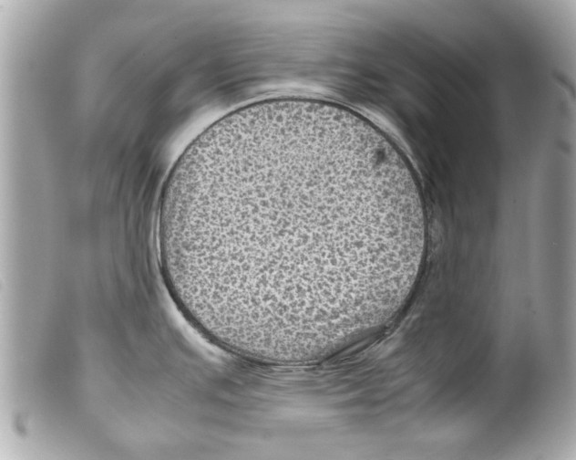 X0000099291391200805301102