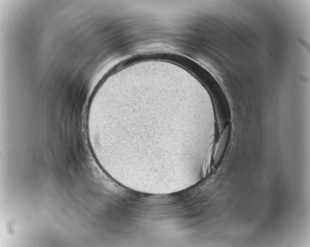 X0000099291392200805301102