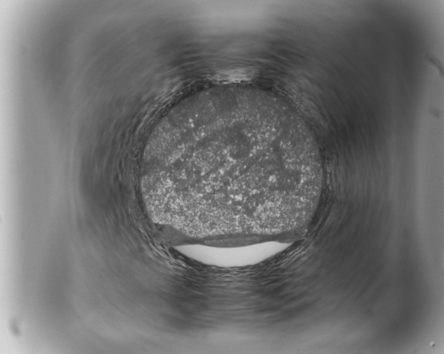 X0000099291393200805301101