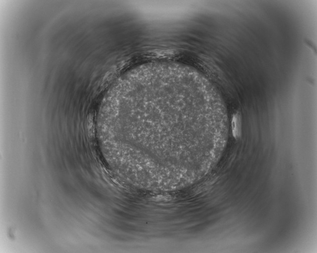 X0000099291395200805301101