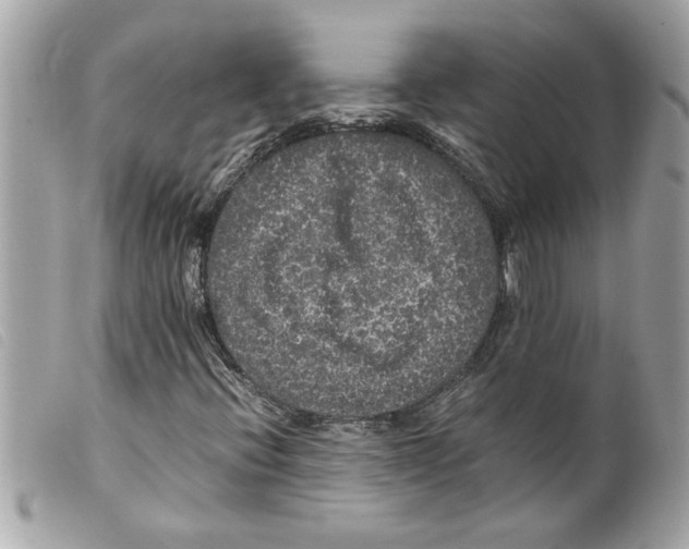 X0000099291396200805301101