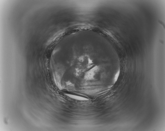 X0000099291399200805301101