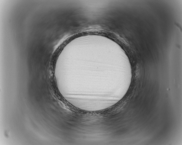 X0000099291400200805301101