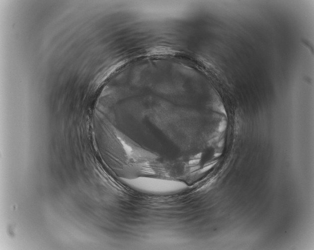 X0000099291401200805301101