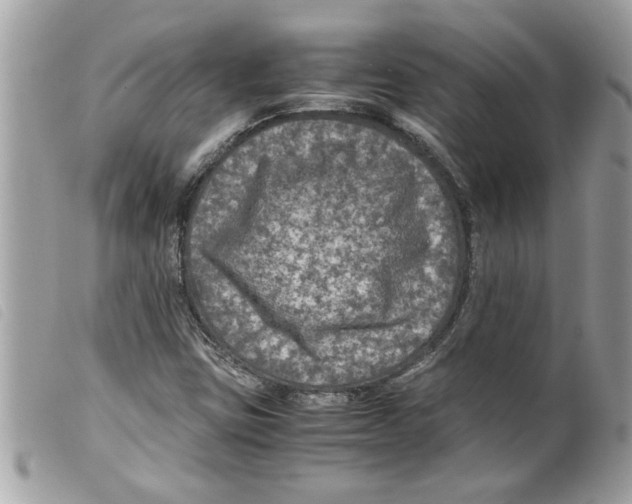 X0000099291403200805301102