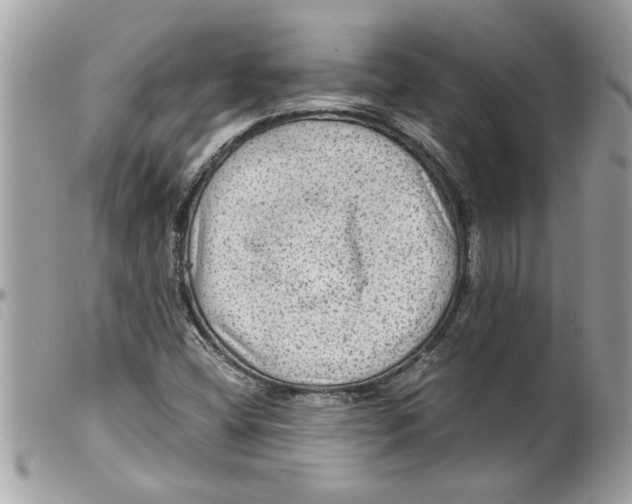 X0000099291404200805301102