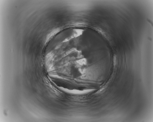 X0000099291405200805301102