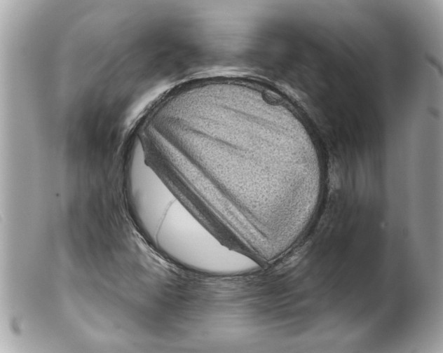 X0000099291406200805301102