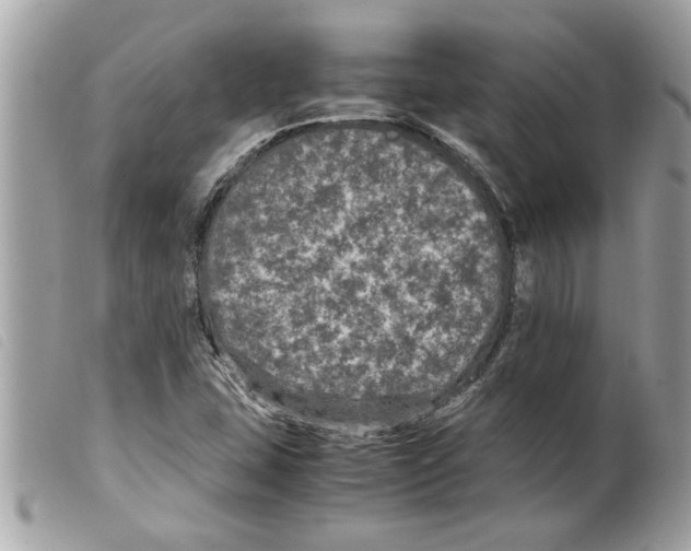 X0000099291407200805301102