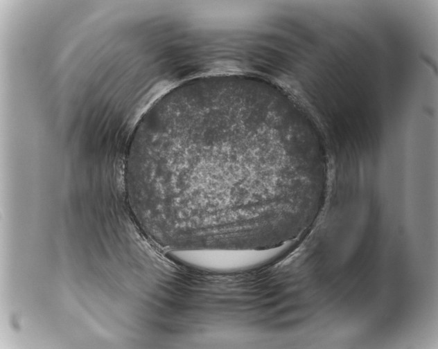 X0000099291409200805301102