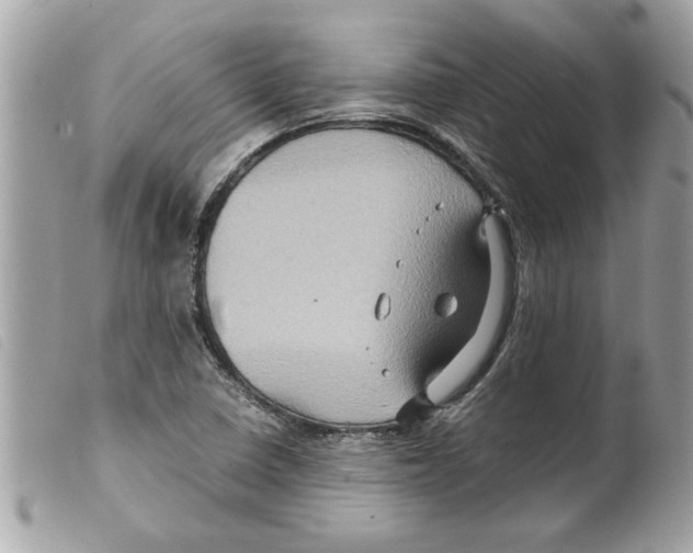 X0000099291410200805301102