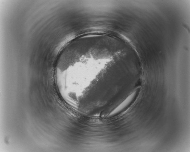 X0000099291411200805301102