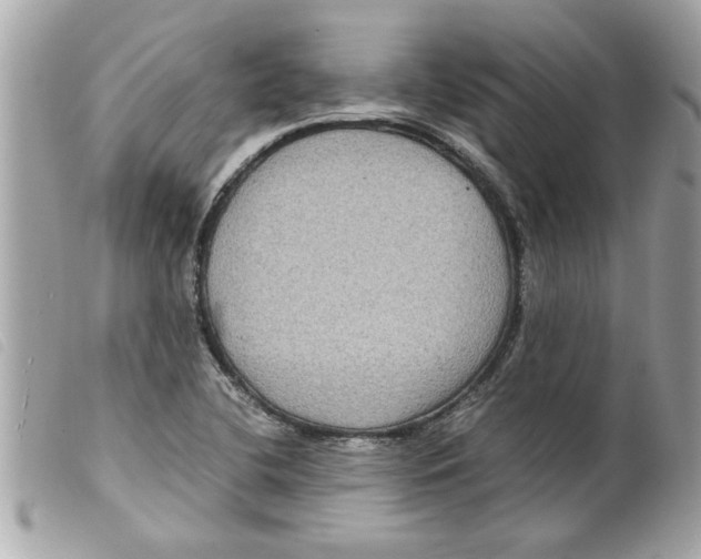 X0000099291412200805301102