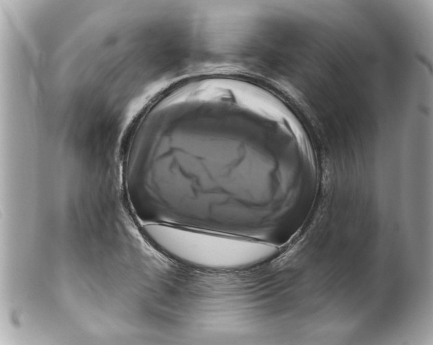 X0000099291414200805301102