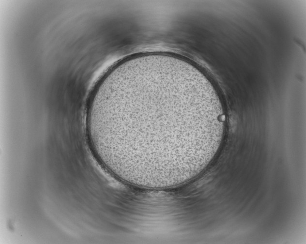 X0000099291416200805301102