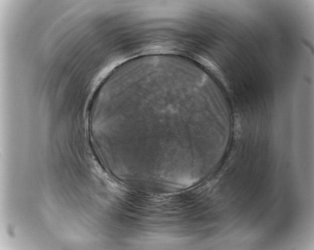 X0000099291419200805301102