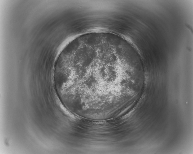 X0000099291421200805301102