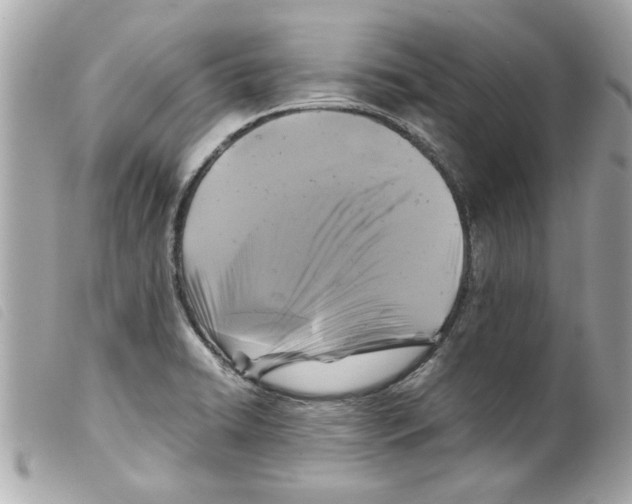 X0000099291422200805301102