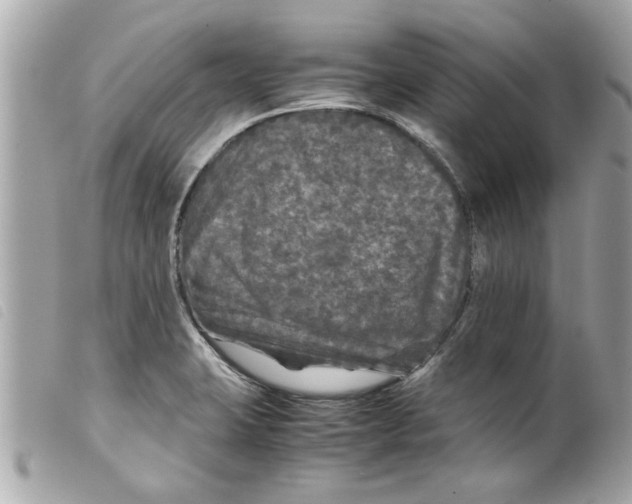 X0000099291423200805301102