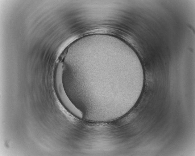 X0000099291426200805301102