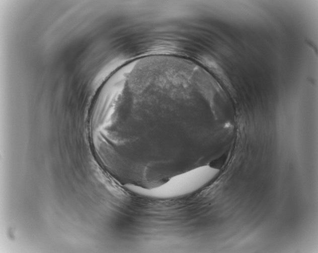 X0000099291427200805301102
