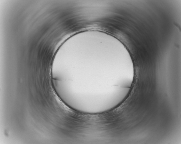 X0000099291428200805301102