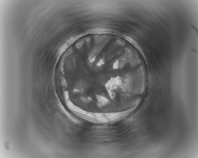 X0000099291429200805301102