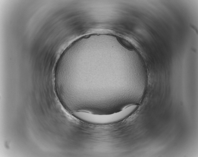 X0000099291430200805301102