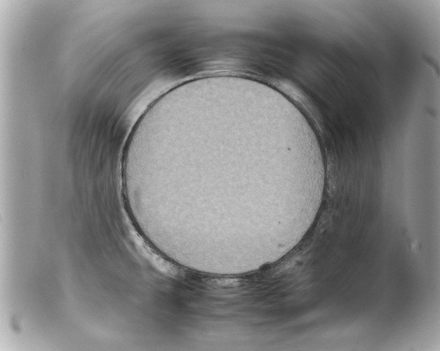 X0000099291431200805301102