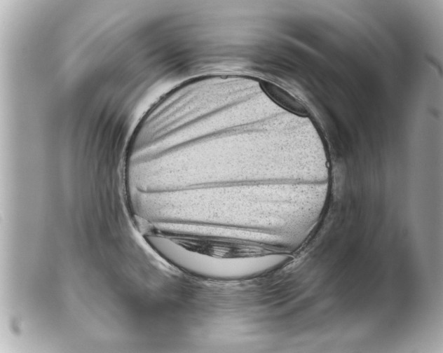 X0000099291432200805301102