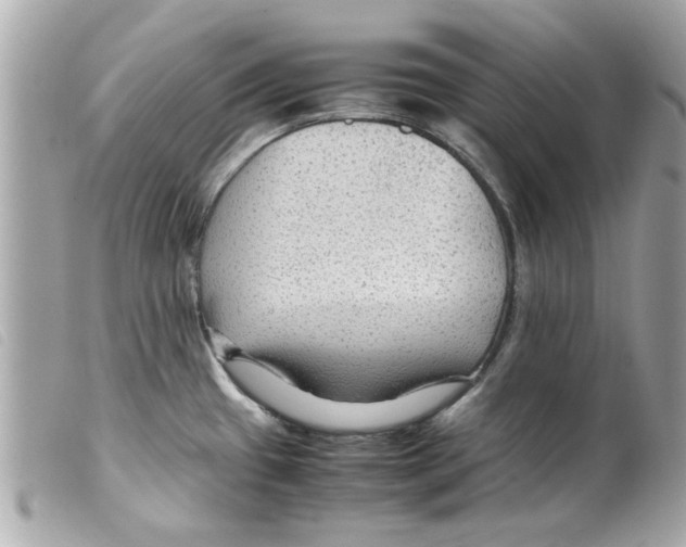 X0000099291433200805301102