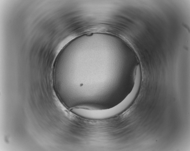 X0000099291434200805301102