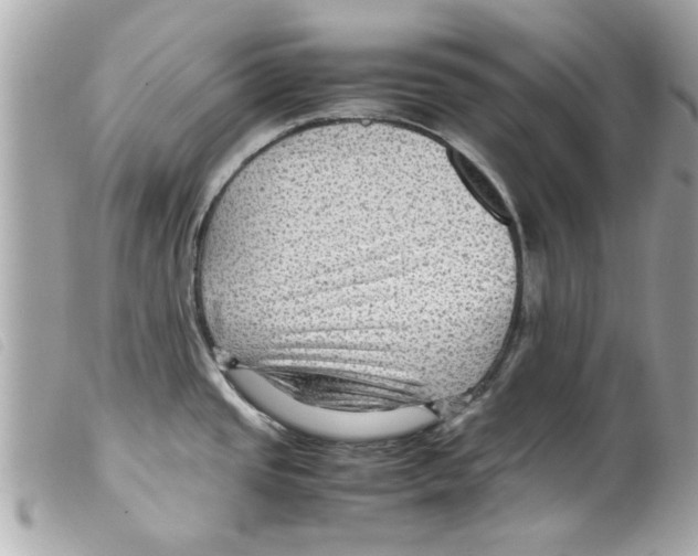 X0000099291437200805301102