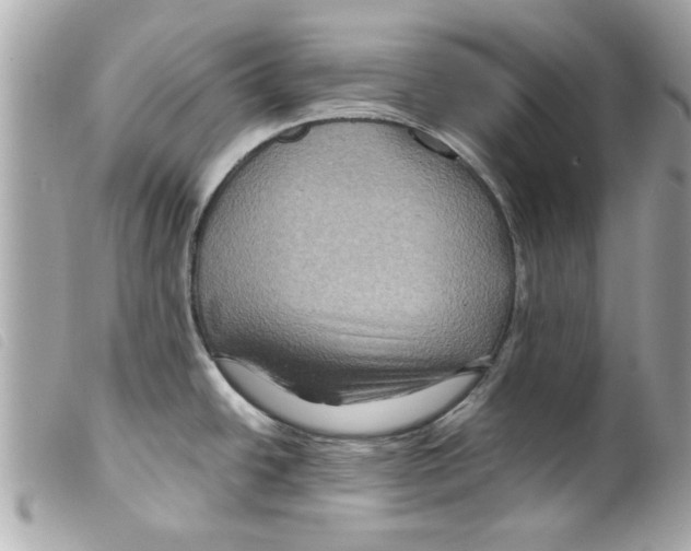 X0000099291438200805301102