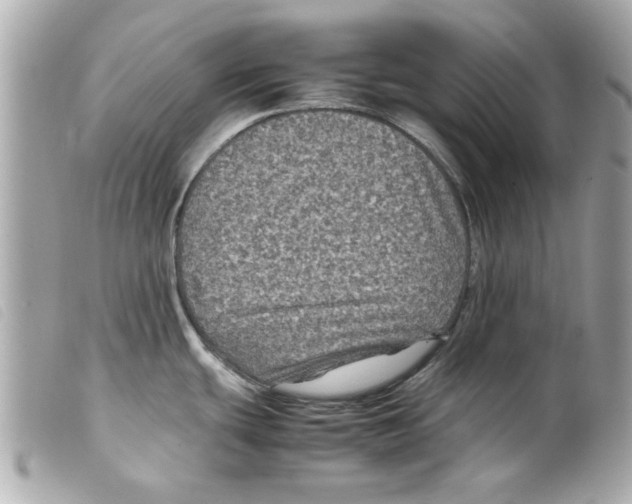X0000099291439200805301102