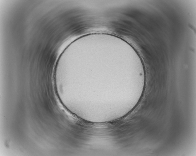 X0000099291440200805301102