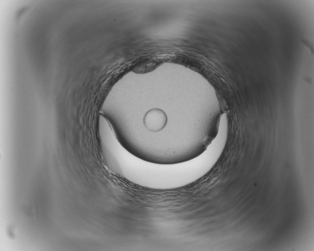 X0000099291441200805301101